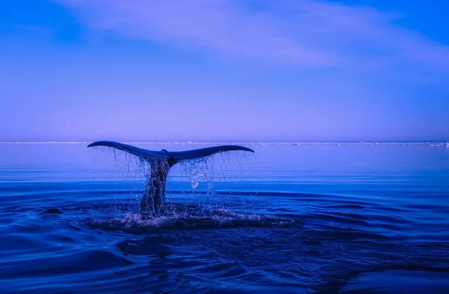 Над $770 милиона в Биткойн прехвърлени към Coinbase и Cumberland