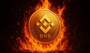 Burning Binance Coin (BNB)