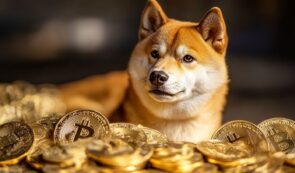 시바이누 코인 소각률 1,706% 급등... 강아지 밈코인 전망은?