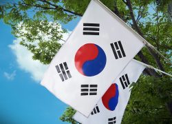 South Korea’s Stablecoin Ambitions Hit Regulatory Roadblock