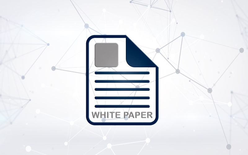what is a Whitepaper