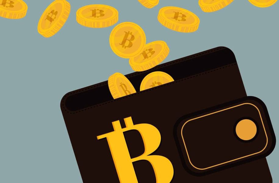 Coldcard Flaw Revives Bitcoin Wallet vs ETF Debate