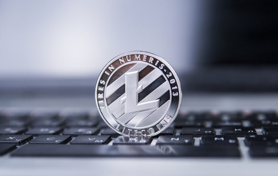 Top 30000 litecoin wallets crypto hsm