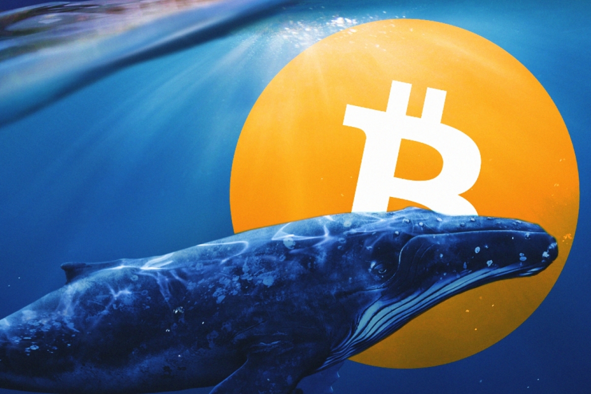 whale cryptocurrency