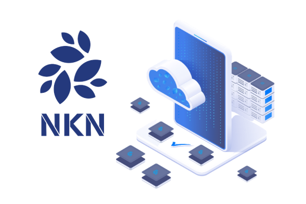 nkn price prediction