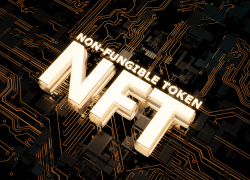 Choosing an NFT Project