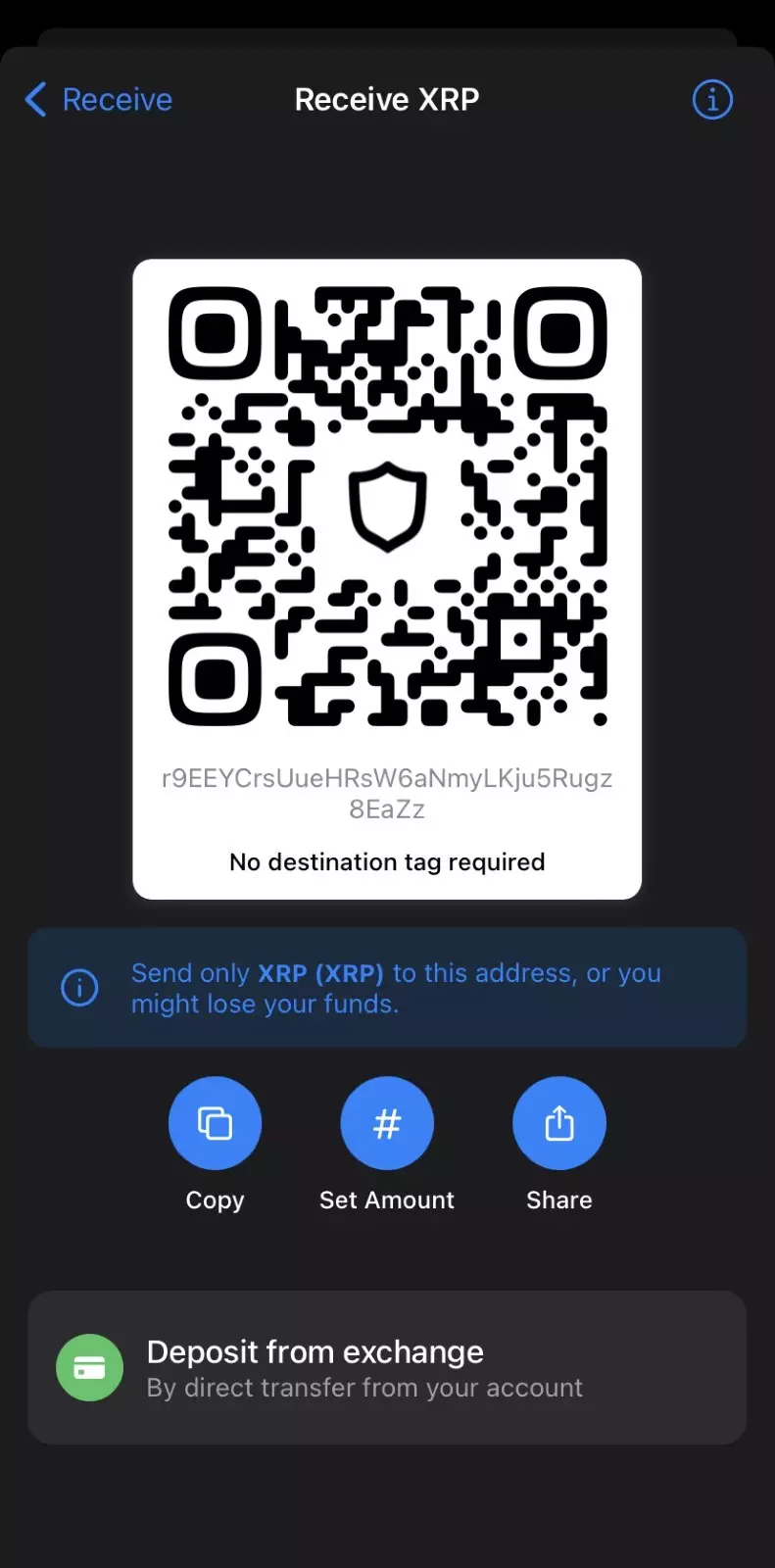 Scan the QR code or copy your wallet address; 