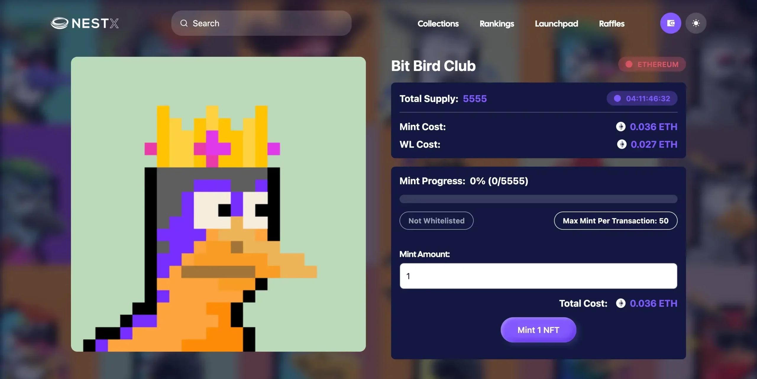 NFT Giveaway - Bit Bird Club 