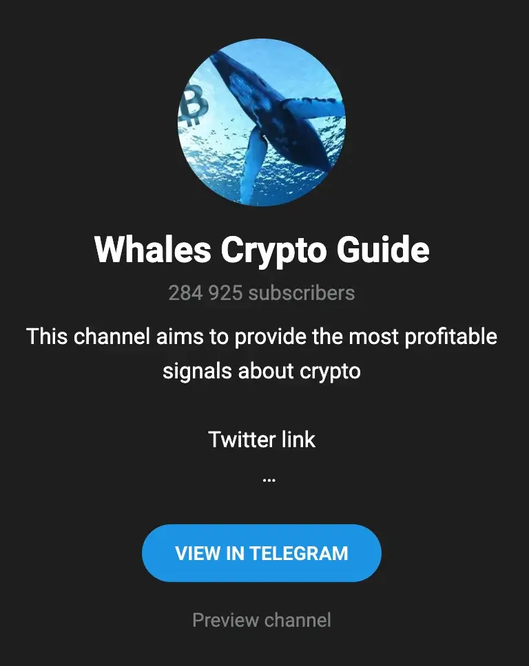 3. Whales Crypto Guide
