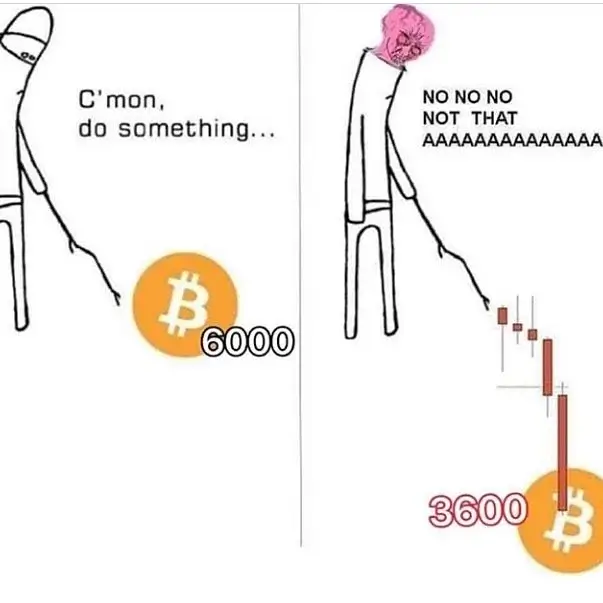 One of the bitcoin memes that everyone tweet in 2019