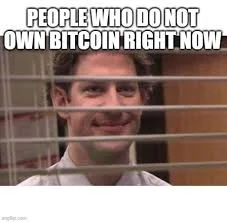 Buy the dip Bitcoin memes