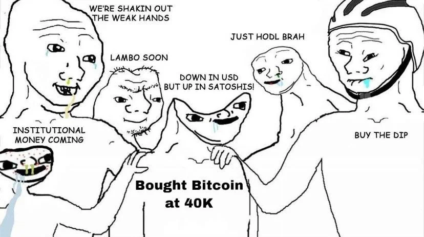 Buy the dip Bitcoin memes