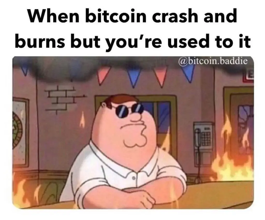 When you're so used with bitcoin crashing