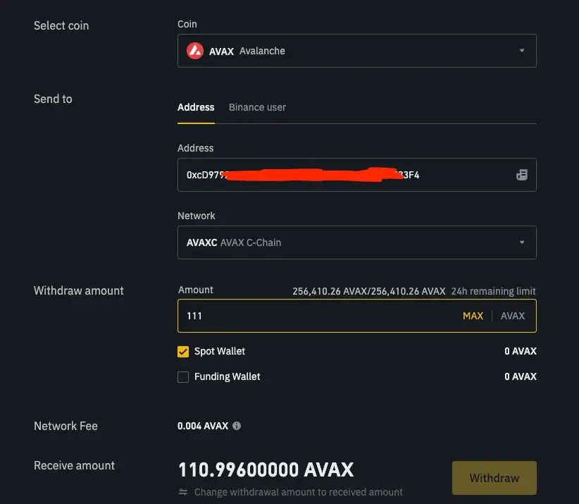 Step 3. Complete the Crypto Withdrawal Form on Binance
