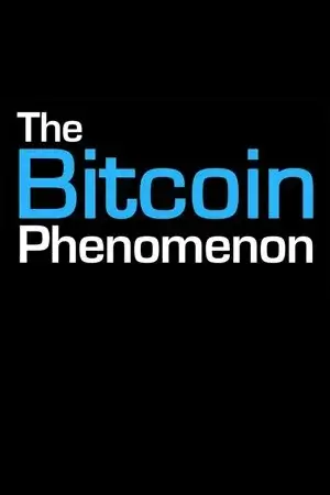2. The Bitcoin Phenomenon