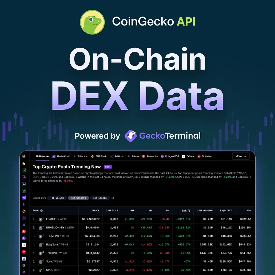 CoinGecko On-Chain DEX API