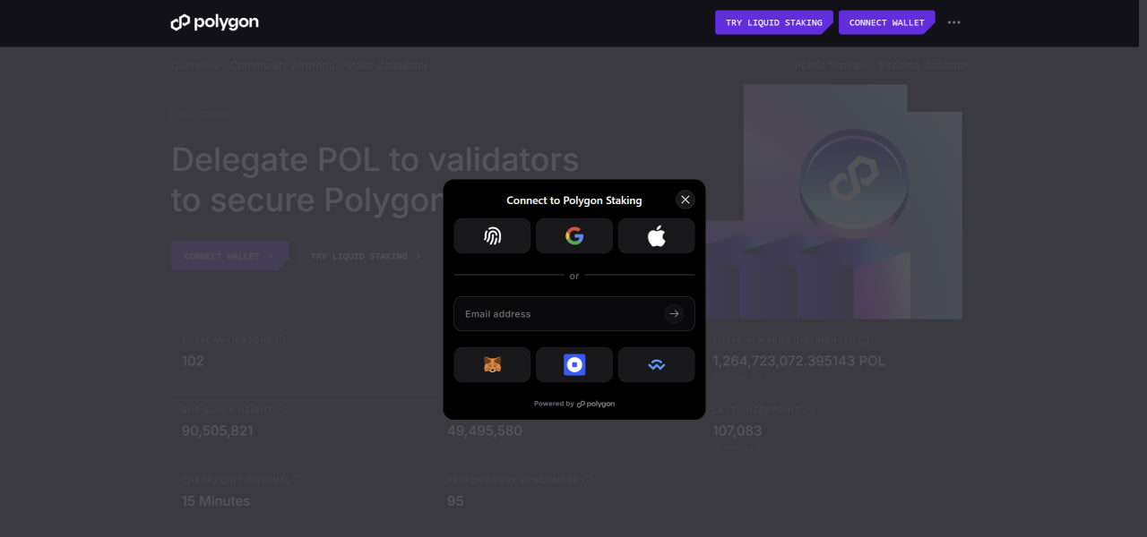 Polygon website, staking page, connect your wallet