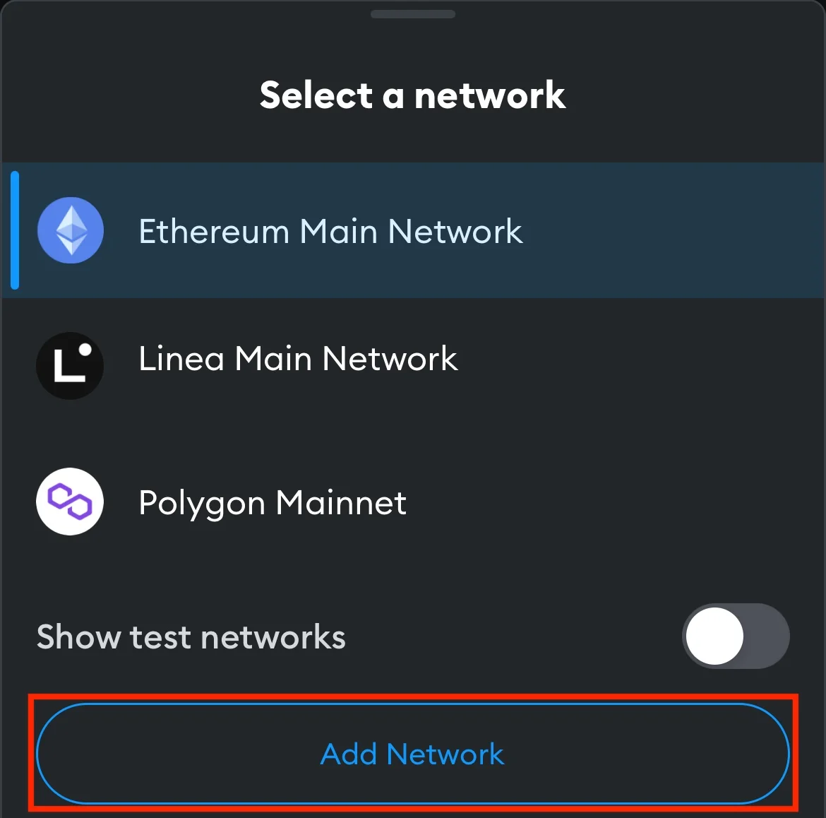 Tap on "Add Network"