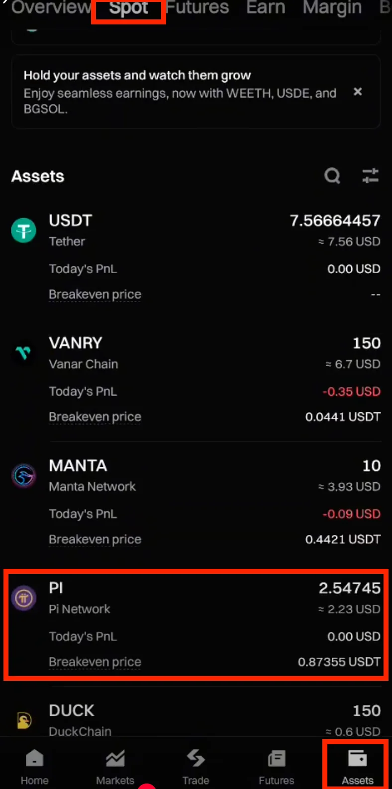 Step 1. Navigate to the "Assets" Tab and Select Pi