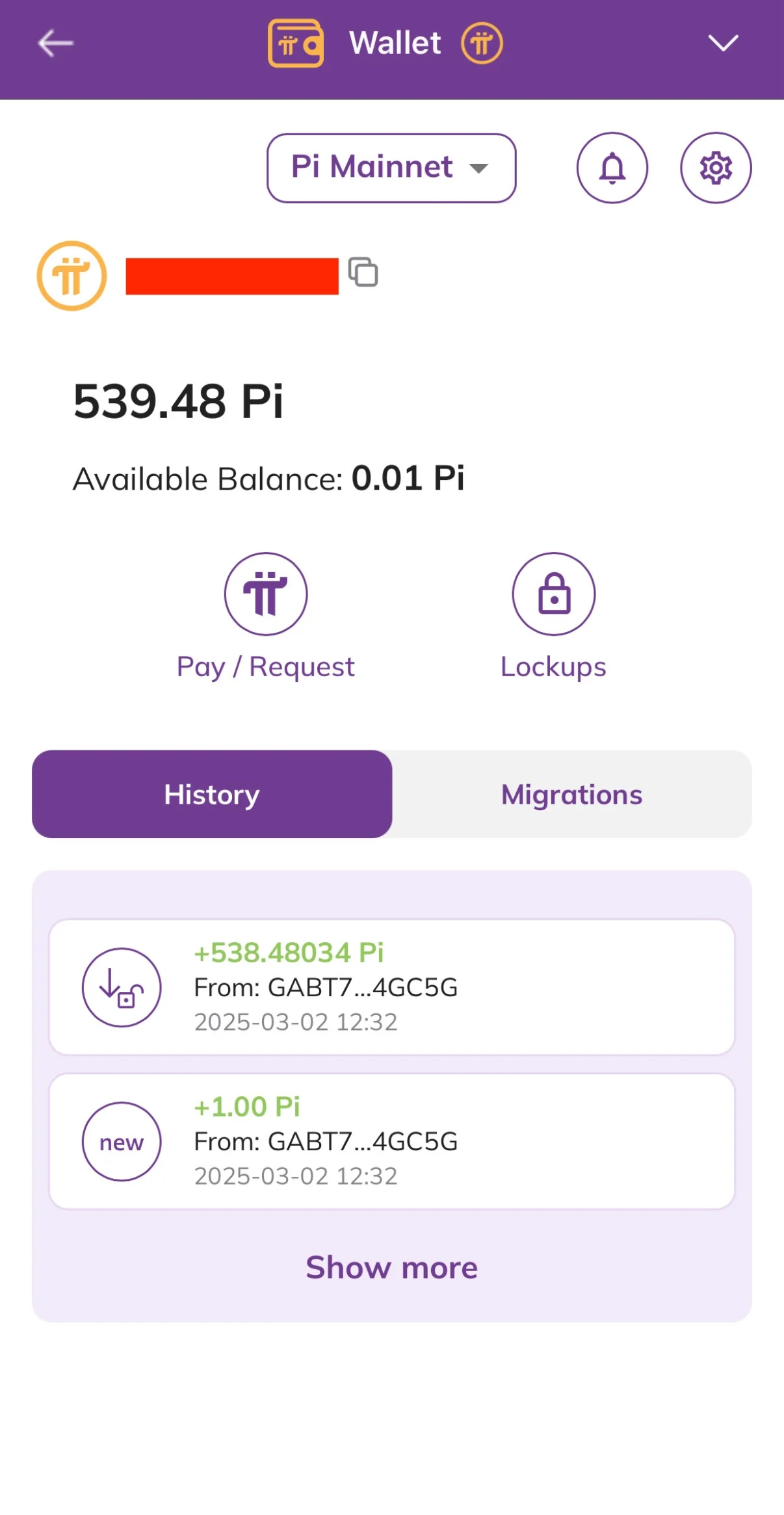 Step 4. Go to the Pi Wallet and Press the "Pay/Request" Button