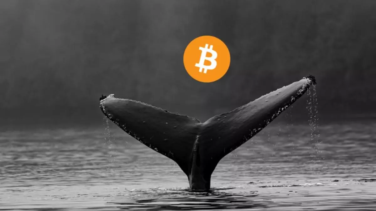 Bitcoin quiet while whales accumulate; Ki Young Ju flags retail exit on Jan  15, 2026