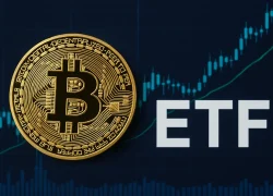 Bitcoin’s ETF Boom May Be Fueling the Downside, Warns Michael Burry