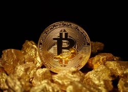 Gold Moves First, Bitcoin Loads Up: Why the Next Expansion May Take Time