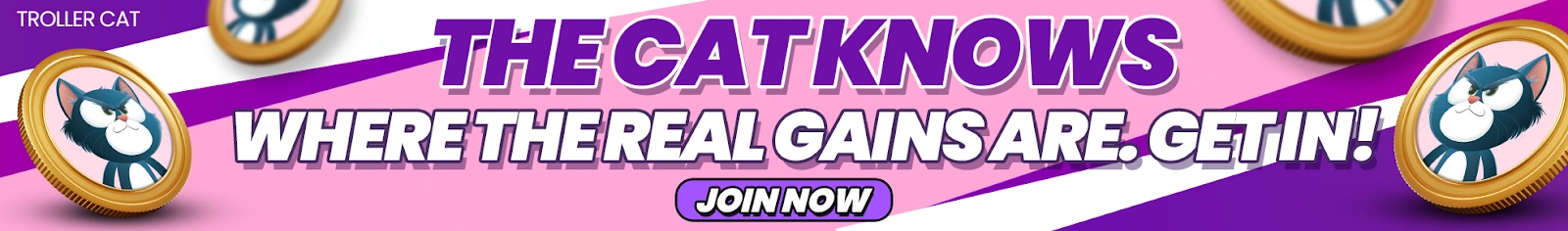 troller cat pink