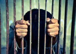 Ponzi Scheme Promoter Sentenced To 71 Months As Federal Crackdown Continues