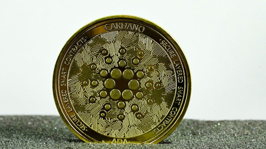 Cardano Holders Keep Accumulating as ETF Odds Surge