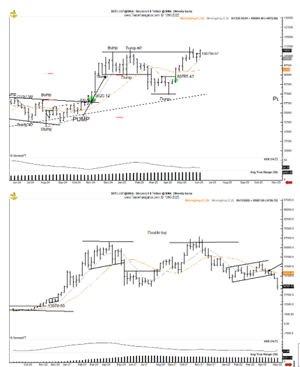 Bitcoin Chart - A Cautionary Tale