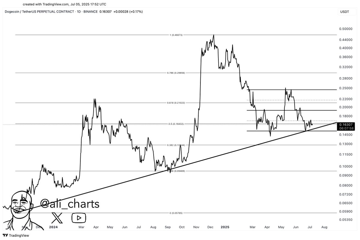 Can Dogecoin Break Higher from Key Support?