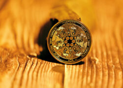 Cardano Eyes a 2026 Breakthrough as Institutions Request Massive Treasury Allocation