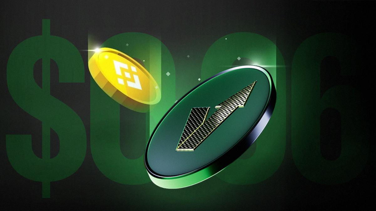 Binance Coin Started at $0.10, VFX Token at $0.06 – Analysts Spot the Pattern