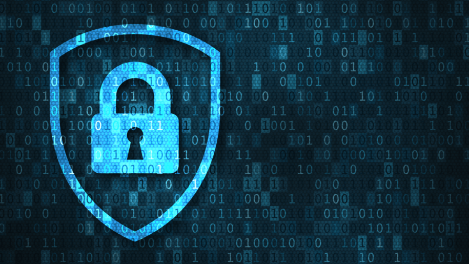 Bybit and Nexo Launch Tools to Fight $10B Scam Crisis