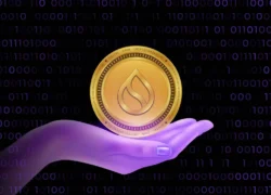 Sui Network Plans Native Private Transactions by 2026