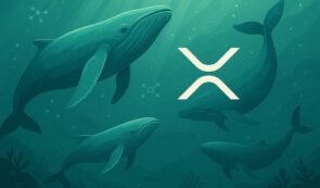 XRP Whale