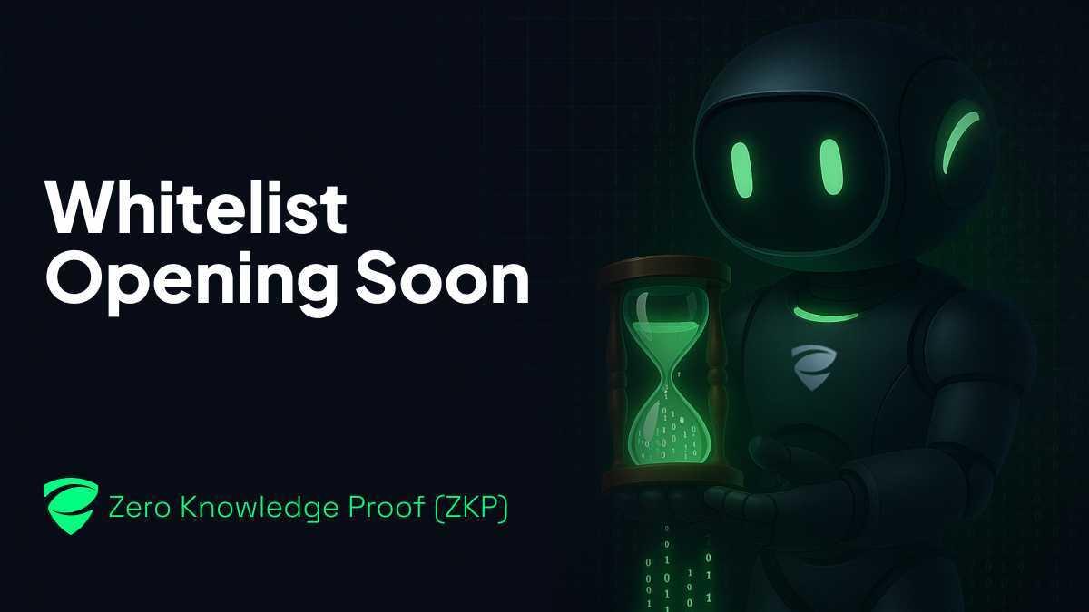 Zero Knowledge Proof (ZKP): The One Blockchain to Rule Them All