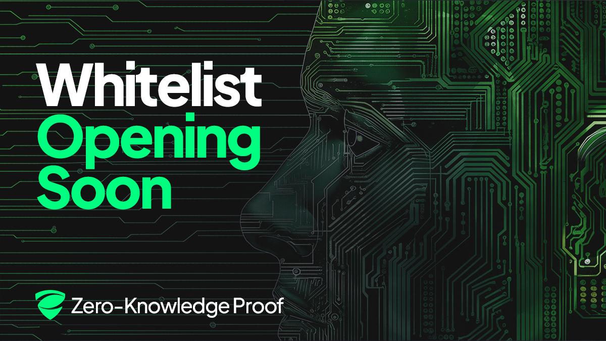 Zero Knowledge Proof (ZKP) Whitelist Starts Soon: The Secret to Influencing Blockchain Without Buying Tokens