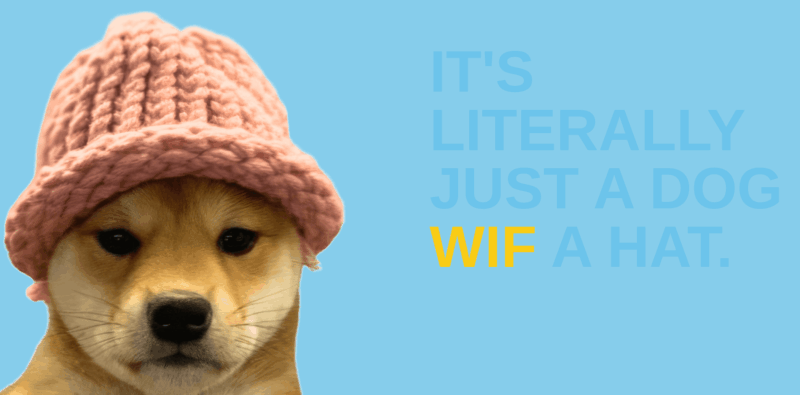 Dogwifhat meme example.