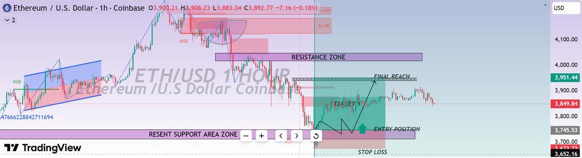 Ethereum on-chain activity and gas fees
