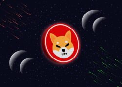 Shiba Inu (SHIB) Price Prediction: Top Rivals & How to Spot 1000X Meme Coins in 2025