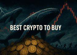 Best Crypto to Buy as Bitcoin Whales Pounce on Extreme Fear