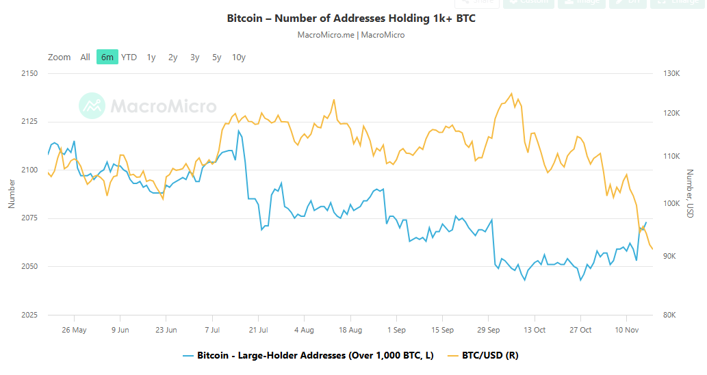 Bitcoin large holders -- above 1K Bitcoin.