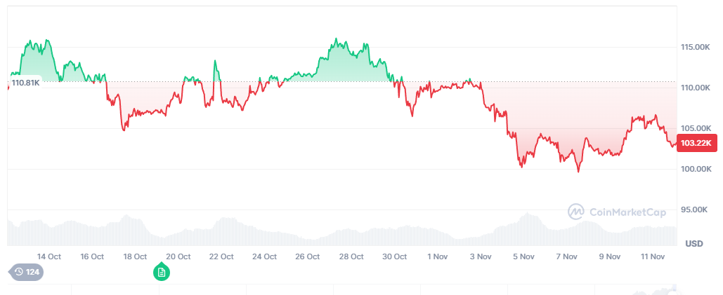Bitcoin recent price performance as rally struggles.