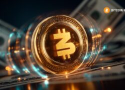 Bitcoin Munari Final Presale at $0.015 Confirms Market Momentum Toward $6 Launch