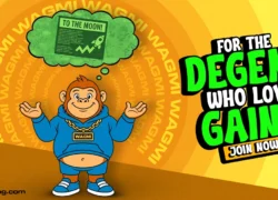 As Wall Street Embraces Bitcoin ETF Demand, Apeing Surges into Focus as 2025’s Best Meme Coin to Watch Over DOGE and SHIB