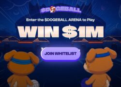 Inside DOGEBALL: How a Live Blockchain and Game Are Powering This Upcoming Crypto Presale