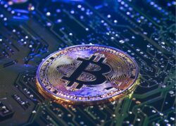 Can Digitap ($TAP) Reach $3 Before BTC Breaks $100k in the Best Crypto to Buy 2026 Race