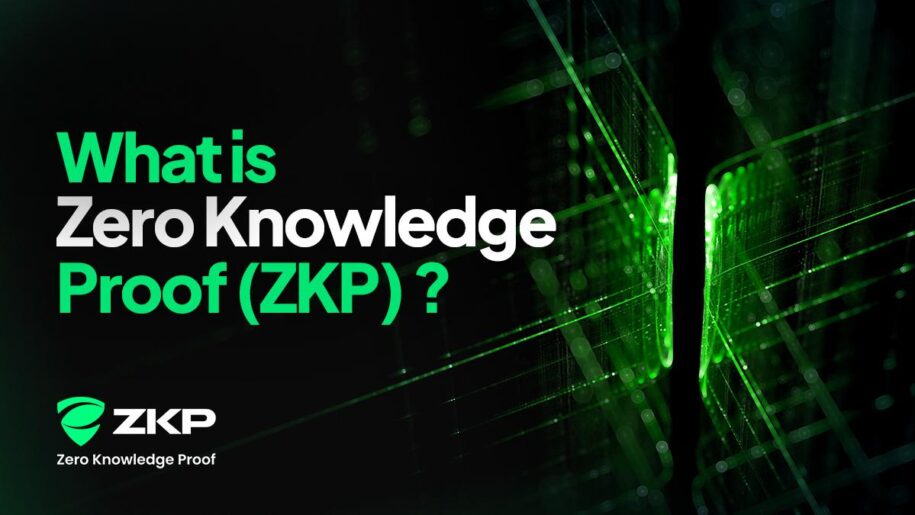 Understanding Zero Knowledge Proof (ZKP): How This Privacy First Layer 1 Project Works